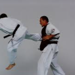 World Oyama Karate - Just Sweat!!