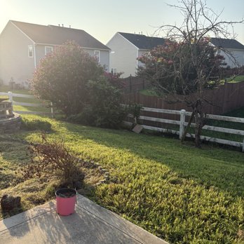 DMP Services - Lawn Services Near Me DMP Services - Lawn Services Near Me