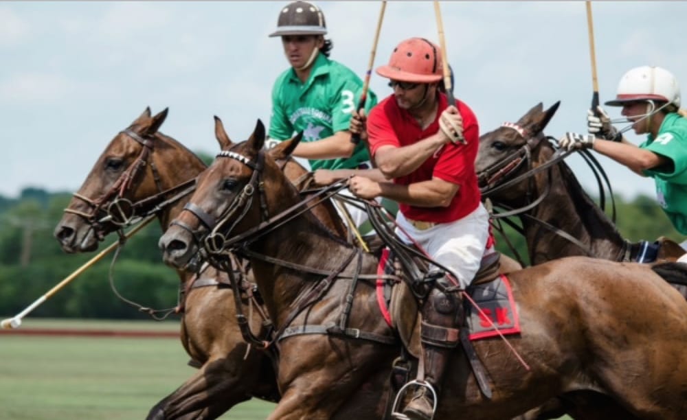 Congressional Polo Club Logo