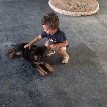 Tucson K-9 Learning Center - Pet Training Near Me - Tucson, Arizona Tucson K-9 Learning Center - Pet Training Near Me - Tucson, Arizona