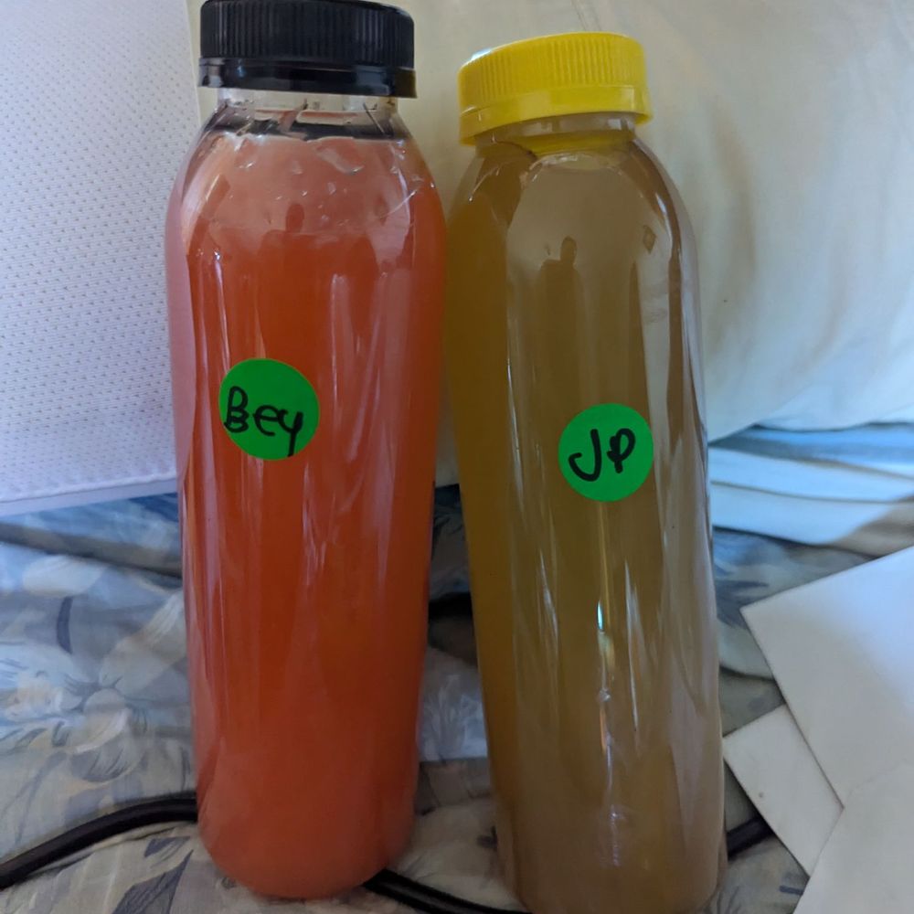 Gourmonade - Beymonade and jasmine Palmer - Juice Bars & Smoothies Near Me Gourmonade - Beymonade and jasmine Palmer - Juice Bars & Smoothies Near Me