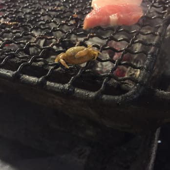 Gogi Time - There was a sand crab in the mussels my friend ate - Korean Near Me - Oakland, California