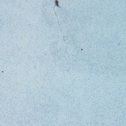 Florida Stucco - Cracked after 1 year.
