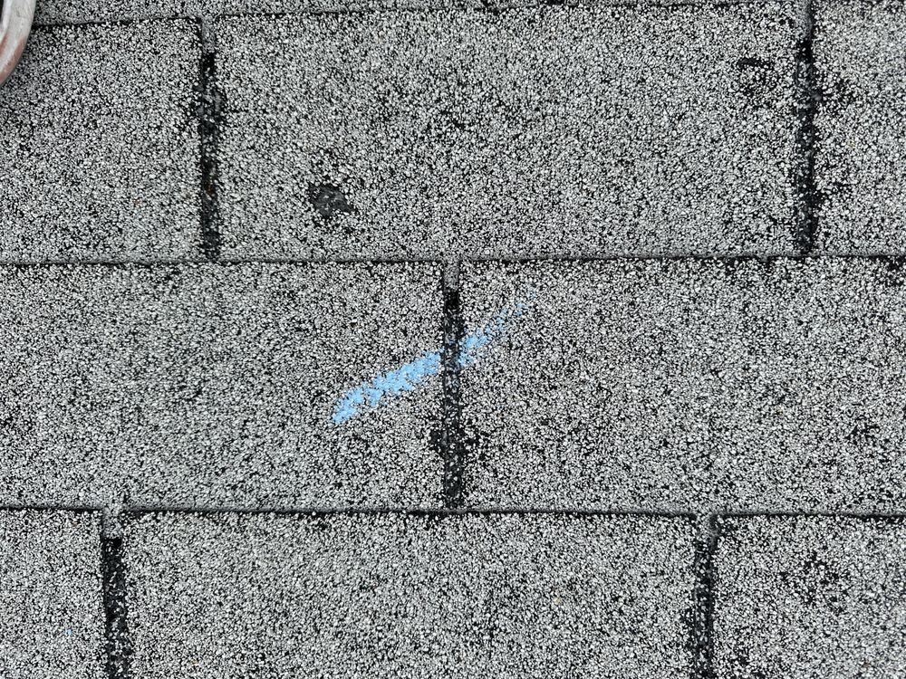 Slide of Beyond Shingles