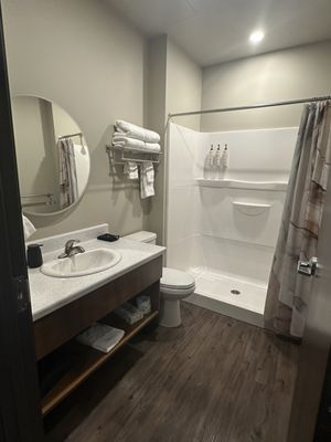 The Intrepid by null