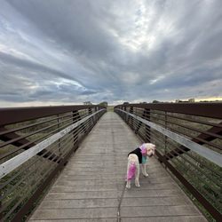 Frank Shoemaker Marsh
