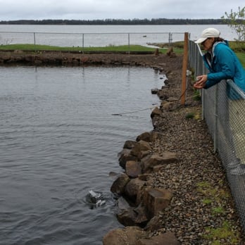 Whiskey Creek Fish Hatchery - Fishing Near Me - Tillamook, Oregon Whiskey Creek Fish Hatchery - Fishing Near Me - Tillamook, Oregon