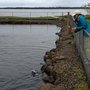 Photo of Whiskey Creek Fish Hatchery