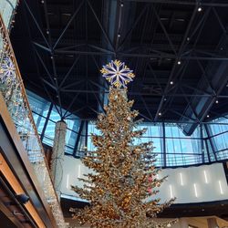 Les 4 Temps - Christmas tree is up!