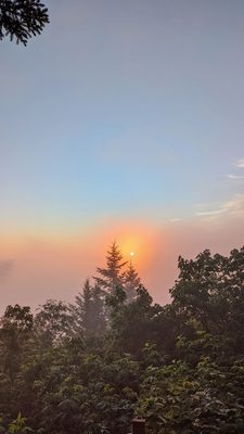 Waterrock Knob by null