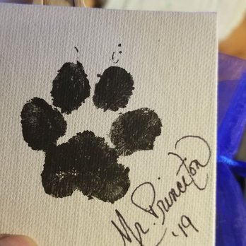 Heavenly Paws Pet Aquamation - Ink paw print on canvas - Pet Cremation Services Near Me - Norcross, Georgia