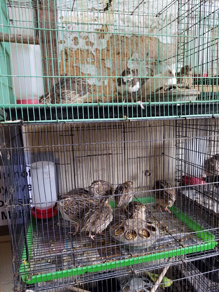 KANEOHE FARM SUPPLIES 25 Photos & 40 Reviews Farming Equipment 45