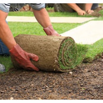 Ground Effects - a man laying turf on the ground - Irrigation Near Me Ground Effects - a man laying turf on the ground - Irrigation Near Me