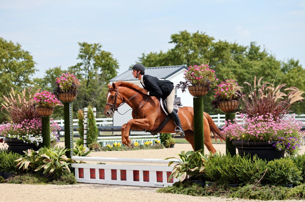 Jakkal Hill Stables - equestrian in Corfu, NY