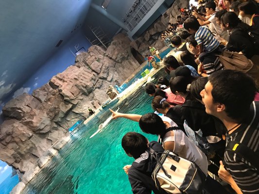 Port Of Nagoya Public Aquarium by null