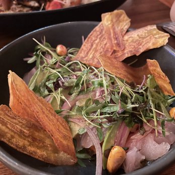 Plate 38 - Tai Red Snapper Ceviche. - New American Near Me - Pasadena, California