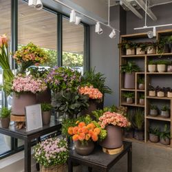 user provided Winston Flowers photo
