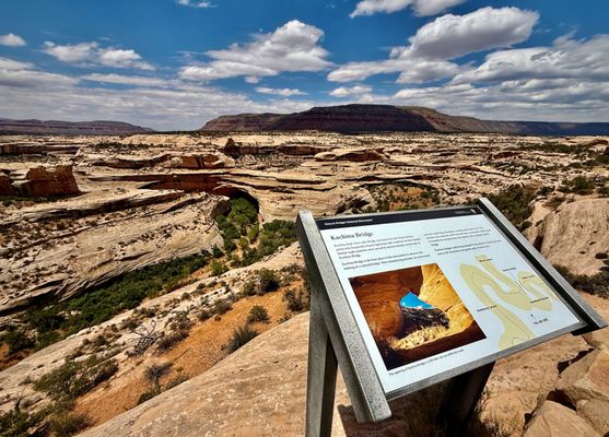 Natural Bridges National Monument by null