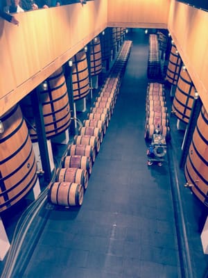 Château Mouton Rothschild by null