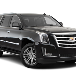 Luxury Escalade