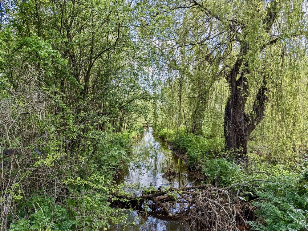 SOUTHWOOD COUNTRY PARK Updated August 2024 13 Photos Ively Rd