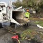 Photo of Highlands Tree Care