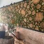 Photo of Forrest Wellness Spa