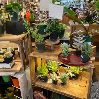 Incahoots - Florists Near Me - McMinnville, Oregon Incahoots - Florists Near Me - McMinnville, Oregon