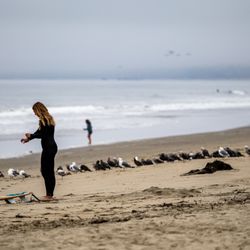 Manresa State Beach - Manresa State Beach