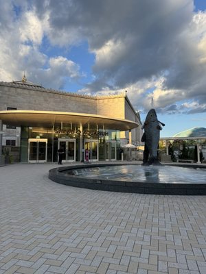 Shedd Aquarium by null