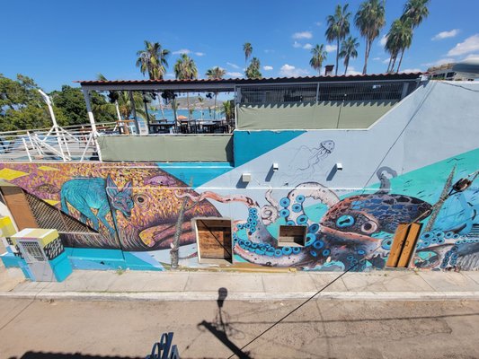 Baja Club by null