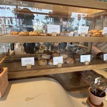 Succulent Coffee Roasters - pastries - Coffee & Tea Near Me - Huntington Beach, California Succulent Coffee Roasters - pastries - Coffee & Tea Near Me - Huntington Beach, California