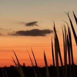 Grassy Flats Resort & Beach Club - Sunset