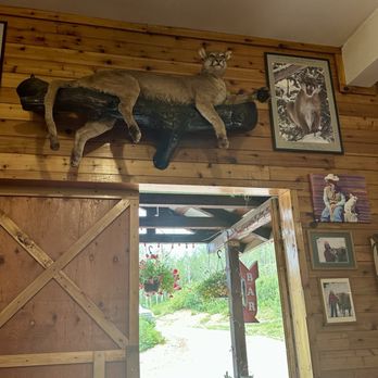 Mill Iron Ranch - Wildlife Hunting Ranges Near Me - Jackson, Wyoming Mill Iron Ranch - Wildlife Hunting Ranges Near Me - Jackson, Wyoming