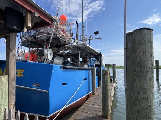 Hooked Up Seafood by null