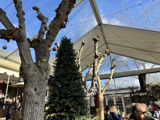 HopMonk Tavern Sonoma by null