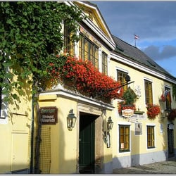 Grinzing Hauptplatz - Janos Korom