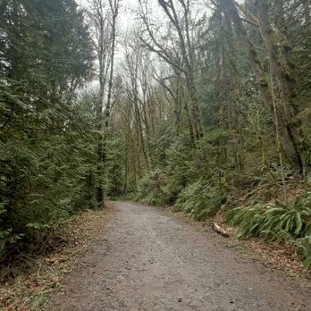 Wildwood Trail - Trees, nice kept trail - Hiking Near Me - Portland, Oregon Wildwood Trail - Trees, nice kept trail - Hiking Near Me - Portland, Oregon