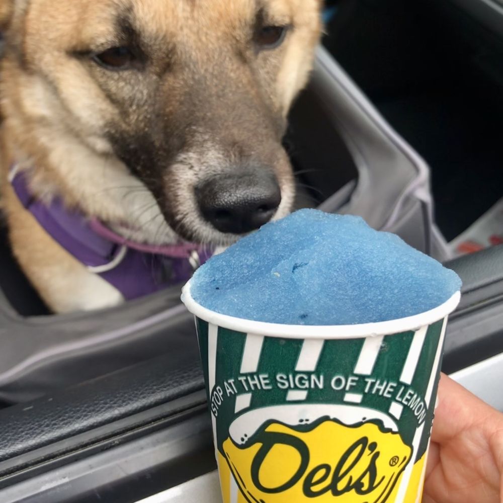 Del's Lemonade - Juice Bars & Smoothies Near Me - Arlington, Massachusetts Del's Lemonade - Juice Bars & Smoothies Near Me - Arlington, Massachusetts