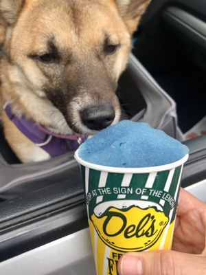 Del's Lemonade by null