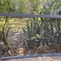 Winter Garden Pool Screen Repair