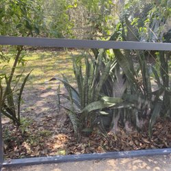 Winter Garden Pool Screen Repair