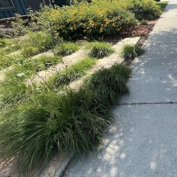 View Scape Design - a sidewalk in front of a house - Landscaping Near Me