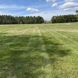JNK Lawn care