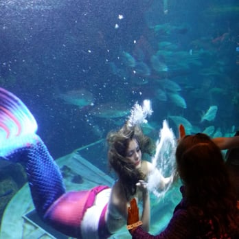Downtown Aquarium - Mermaid - Museums Near Me - Denver, Colorado