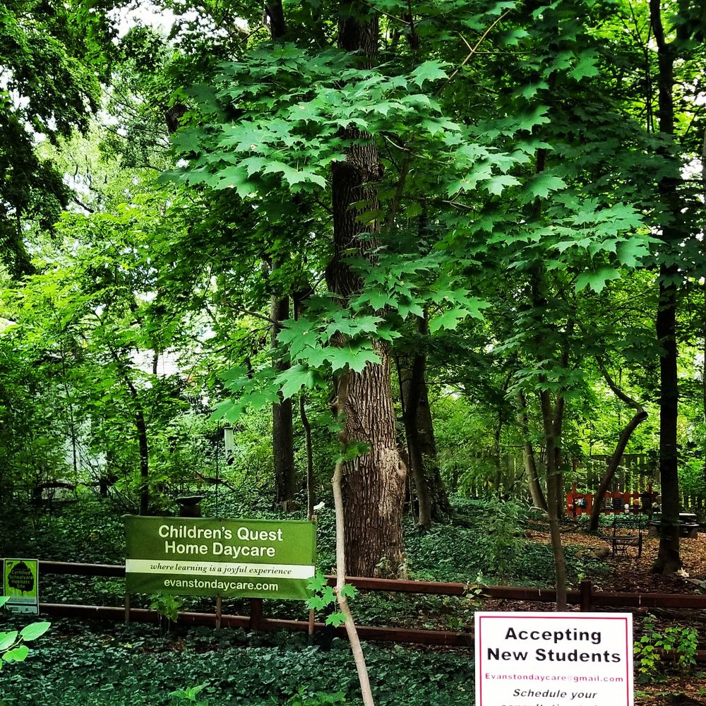 CHILDREN’S QUEST HOME DAYCARE Updated October 2024 Evanston