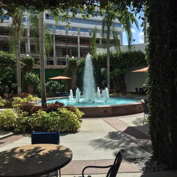 Cilantro's Restaurant & Lounge - Pretty view - Modern European Near Me - Plantation, Florida Cilantro's Restaurant & Lounge - Pretty view - Modern European Near Me - Plantation, Florida
