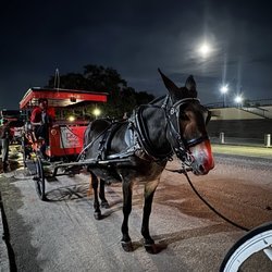 Royal Carriages - Frida