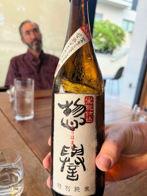 Morimoto Maui by null