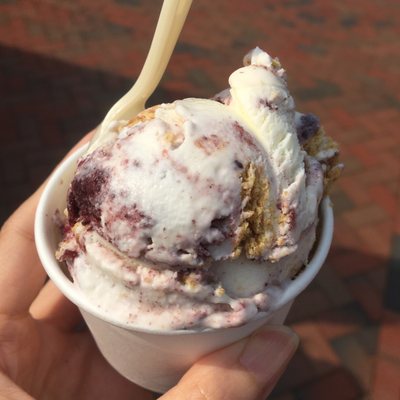 Ice Cream Jubilee - Ballston by null